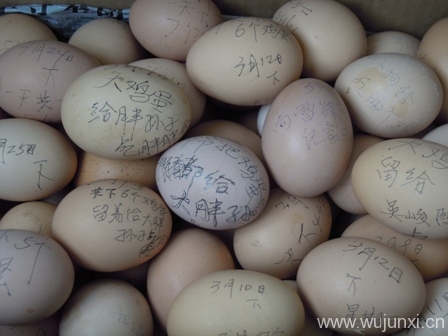 峻熙的爷爷给大峻熙带来的鸡蛋